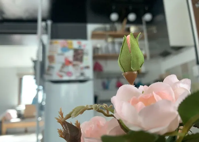 A Friend's House In * Seul